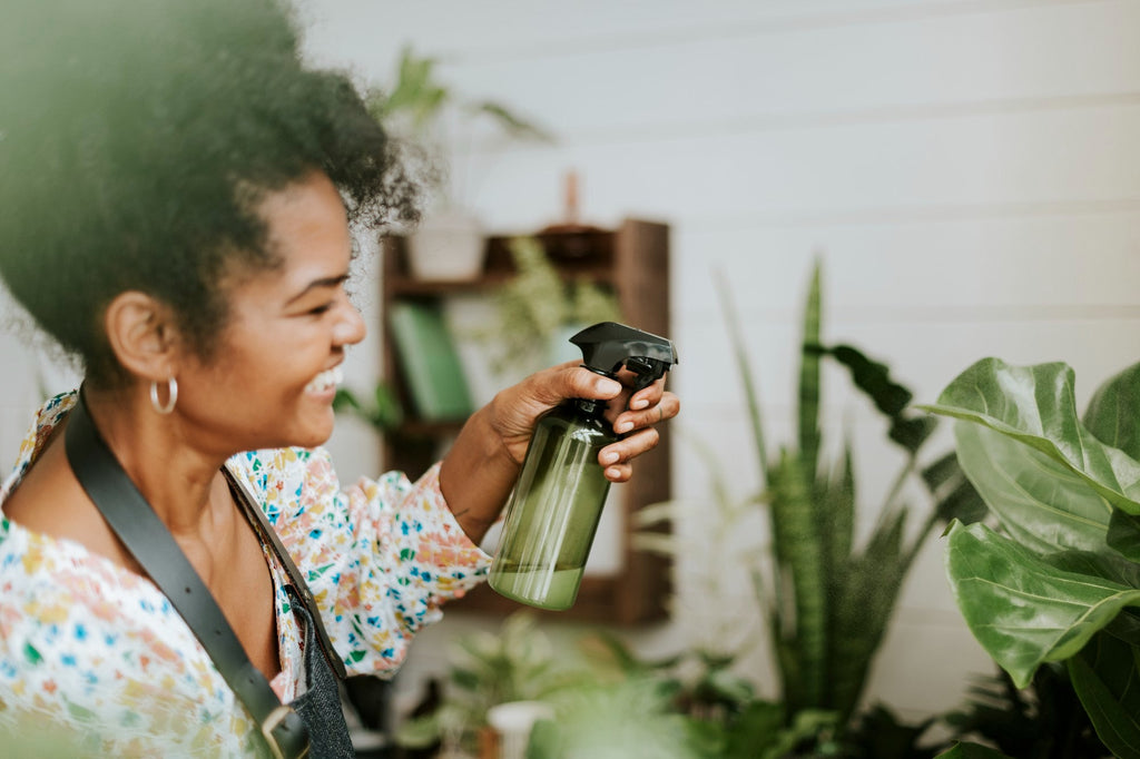 10 Everyday Items You Can Swap for a Greener Home